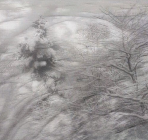 Screen Shot 2017-08-29 at 4.45.52 PM