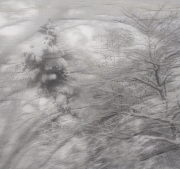 Screen Shot 2017-08-29 at 4.45.52 PM