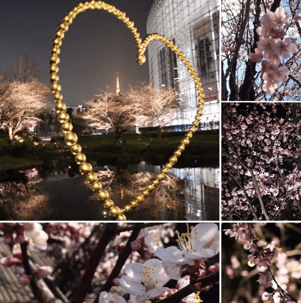 Screen Shot 2017-08-29 at 4.58.53 PM